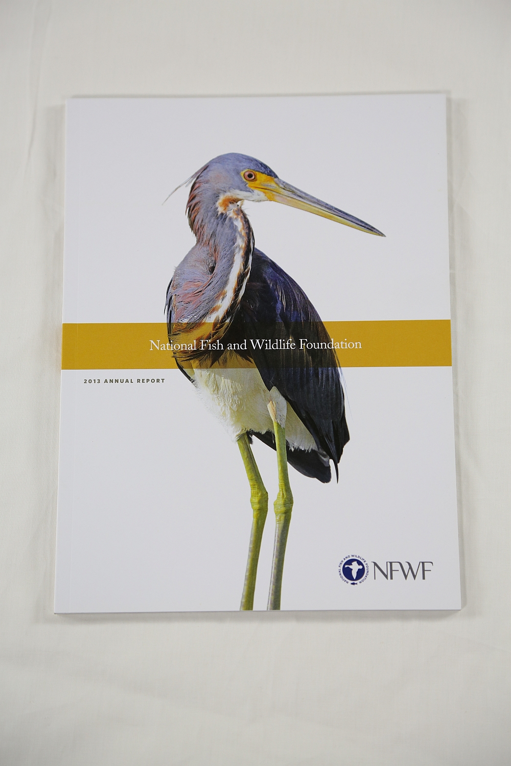 National Fish and Wildlife Foundation 2013 Annual Report ...